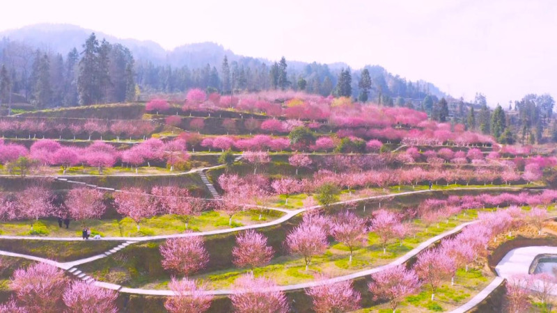 image013 (2).jpg image013 (2).jpg