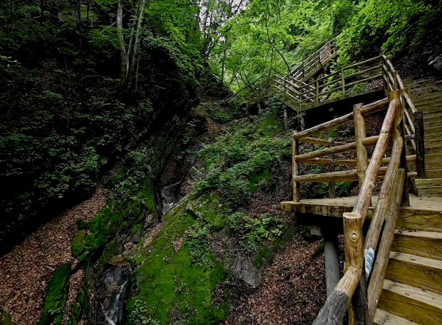 image005.jpg image005.jpg