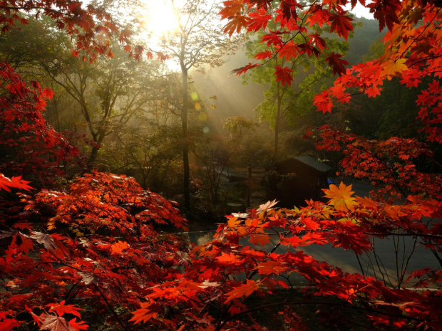 image007 (2).jpg image007 (2).jpg